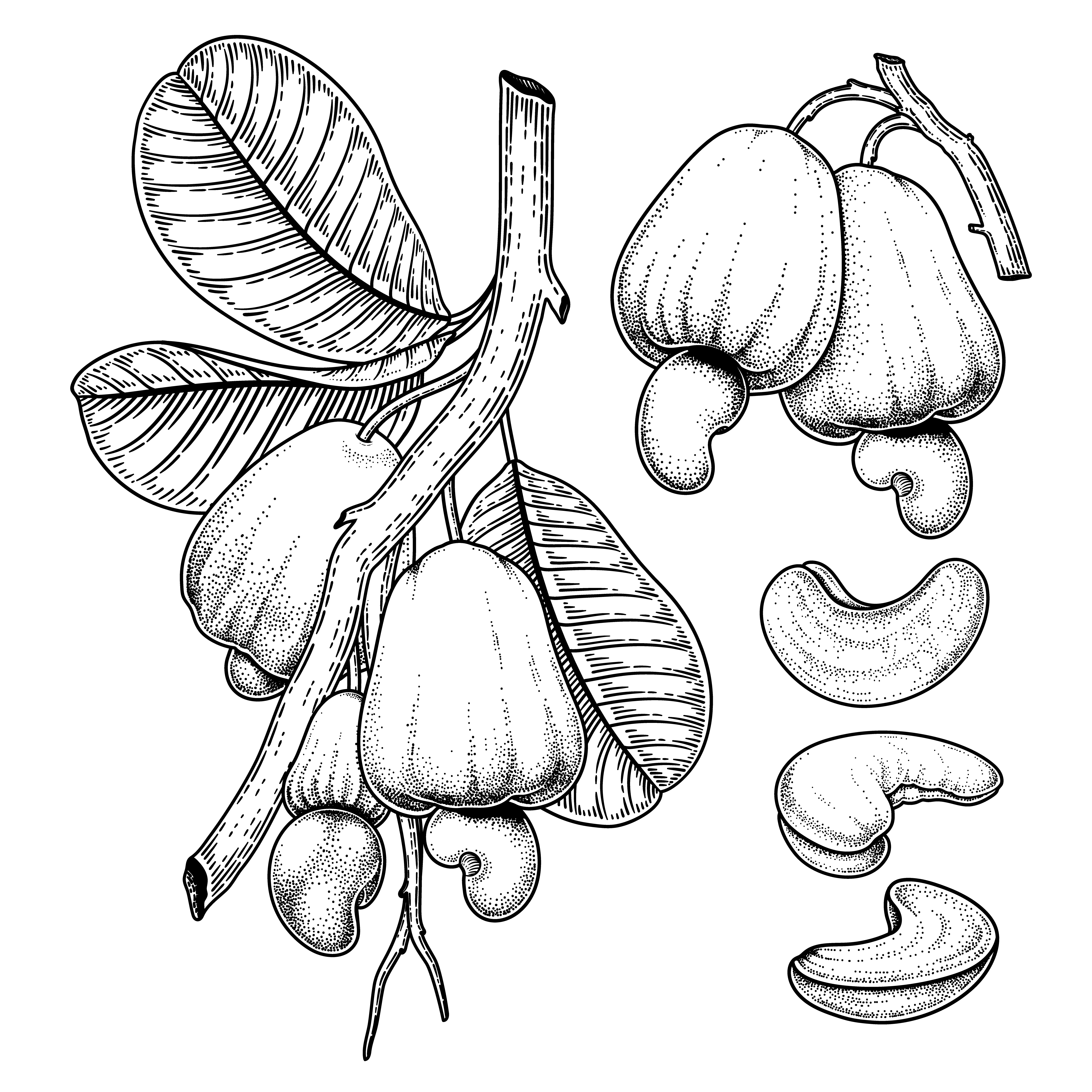 detail